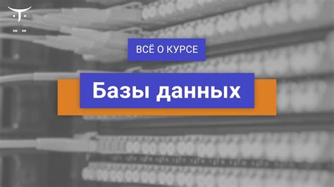 Преимущества и возможности открытых дверей базы в игре