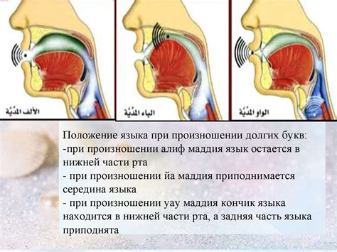 Преимущества и результаты использования вибрации языка при произношении "р"