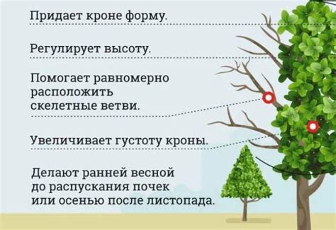 Преимущества обрезки