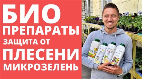 Преимущества применения Тимвивера в работе