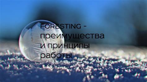 Преимущества работы и принципы ее использования