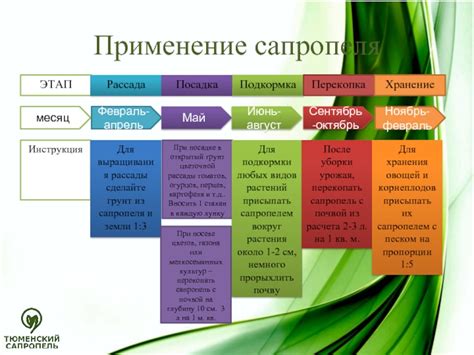 Преимущества сапропеля