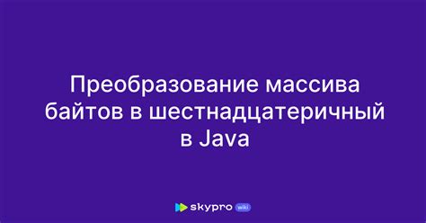 Преобразование байтов изображения на WPF в формат BMP