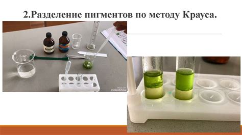 Преобразование пигментов