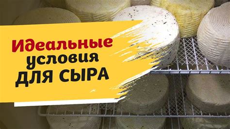 Прессование и оставление сыра для вызревания