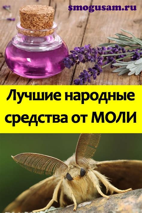 Привлекательность для моли