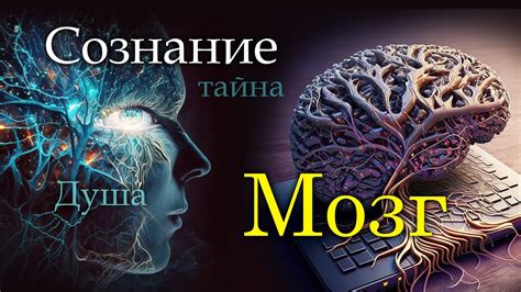 Привлекательность сознания: как вести себя