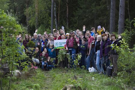 Привлечение волонтеров и организация экологических кампаний