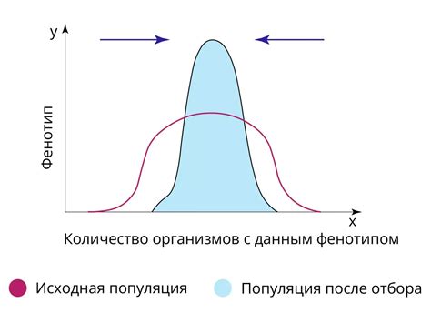 Приводит ли стабилизирующий отбор к полному фенотипическому изменению?