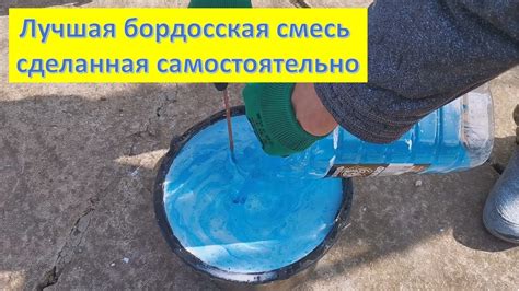 Приготовление бордосской смеси