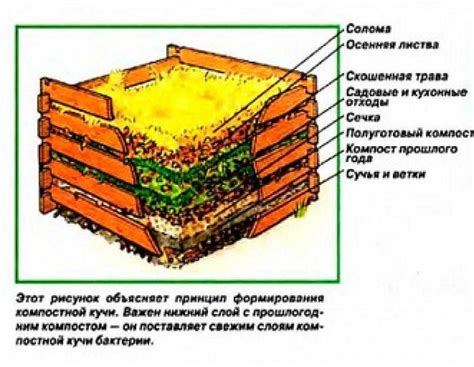 Приготовление компоста в домашних условиях