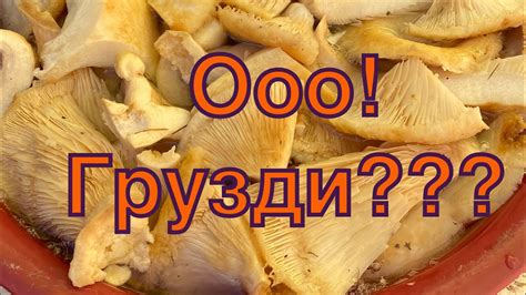 Приготовление сырых груздей