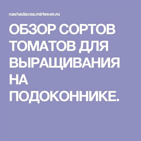 Приготовьте подоконник для выращивания томатов