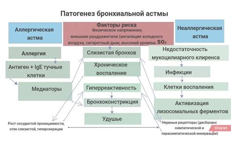 Признаки аллергической астмы