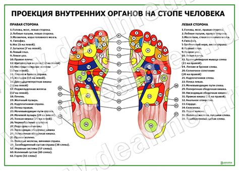 Признаки внутренних шпор на стопе