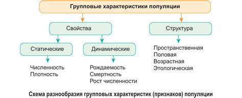 Признаки и характеристики