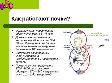 Признаки неправильной работы АРК