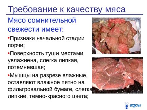 Признаки порчи мяса