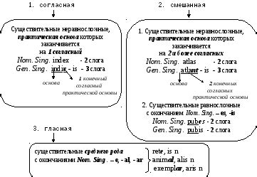 Признаки среднего рода