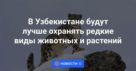 Призывы охранять горы и животных