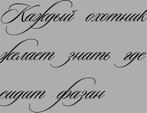 Применение выбранного шрифта и наслаждение его красотой