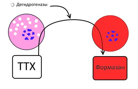 Применение дополнительных методов