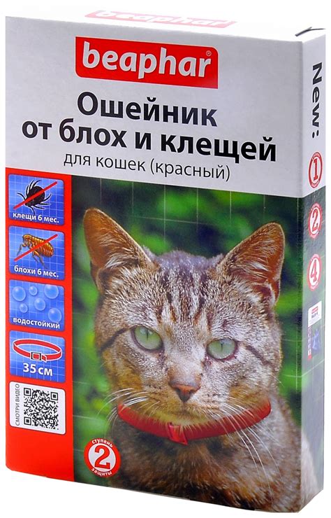 Применение и эффективность использования ошейника от блох для кошек: польза чистотела