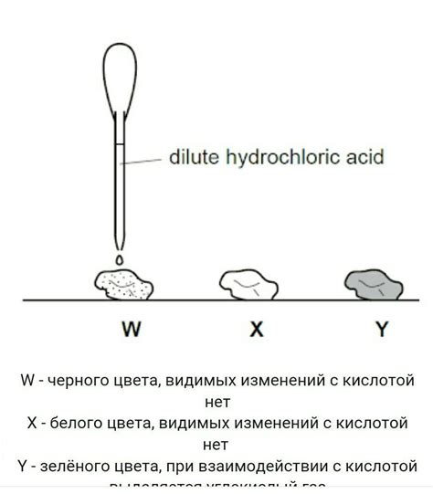 Применение кислотности: проверка дрожжей с помощью реакции на кислоту