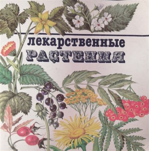 Применение лекарственных растений