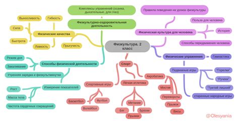 Применение майнд-карт в учебном процессе