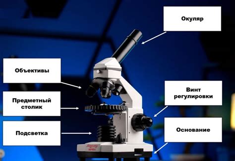 Применение микроскопов в физике