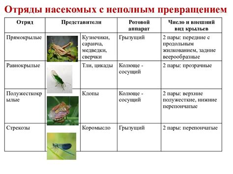 Применение насекомых-паразитов