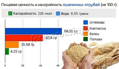 Применение отрубей пшеничных в питании