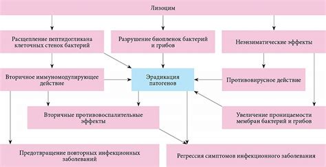 Применение прямых укладочных препаратов