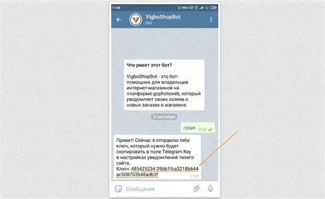 Применение шрифта к сообщениям в Telegram