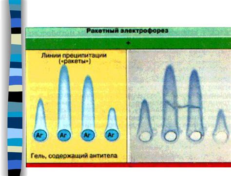 Применение электрофореза