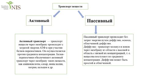 Применять технику активного и пассивного растяжения