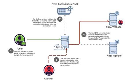 Примеры глобального кэша DNS в действии