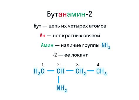 Примеры использования аминов