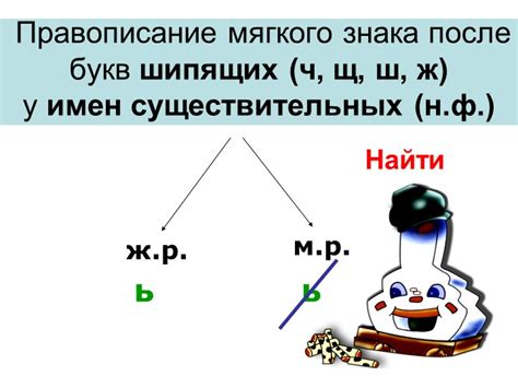 Примеры использования мягкого знака после "ч"