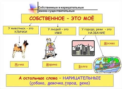 Примеры использования существительных собственных