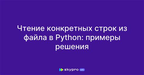 Примеры использования чтения из файла в Python