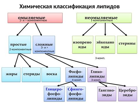 Примеры липидов и их функции