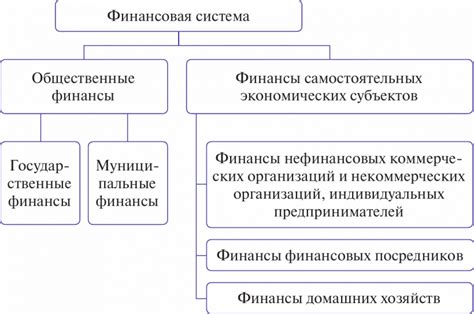 Примеры применения двухконтурной финансовой системы