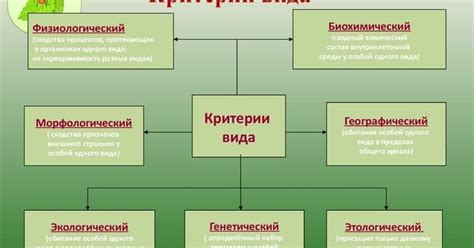 Примеры применения критериев вида в современных исследованиях