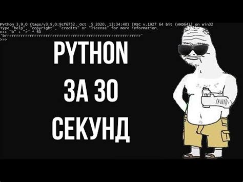 Примеры программирования Алисы на шутки и прозвища