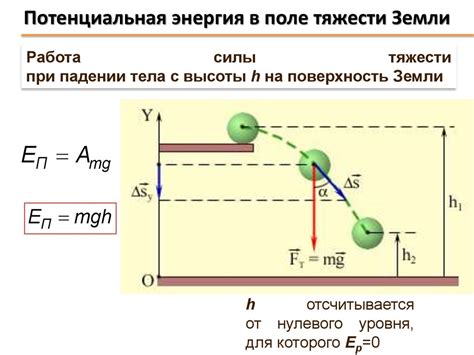 Примеры расчета силы тяжести для различных тел