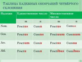 Примеры словосочетаний на латинском языке