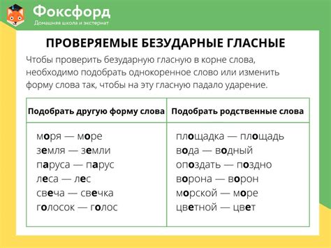 Примеры слов с ударением на одной гласной