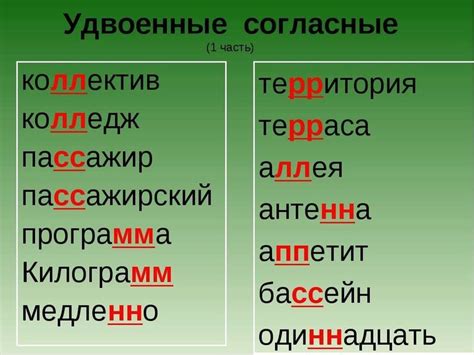 Примеры слов с удвоенными согласными